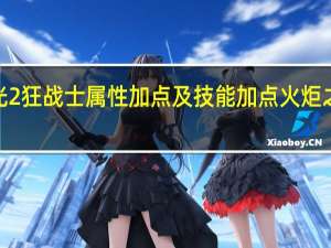 火炬之光2狂战士属性加点及技能加点 火炬之光2狂战加点