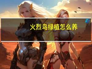 火烈鸟绿植怎么养