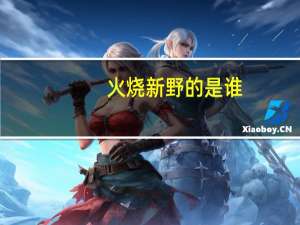 火烧新野的是谁