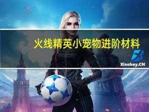 火线精英小宠物进阶材料