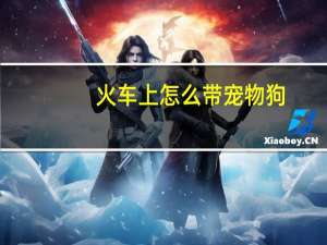 火车上怎么带宠物狗