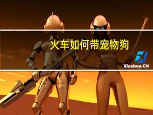 火车如何带宠物狗