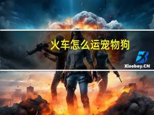 火车怎么运宠物狗