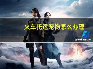 火车托运宠物怎么办理