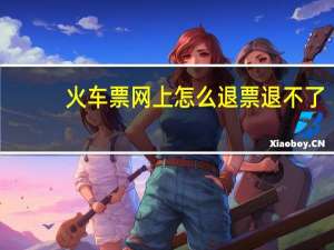 火车票网上怎么退票退不了（火车票网上怎么退票）