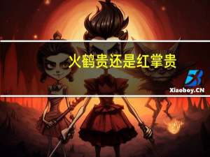 火鹤贵还是红掌贵