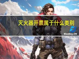 灭火器开票属于什么类别
