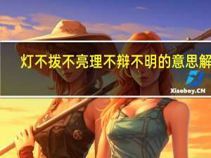 灯不拨不亮理不辩不明的意思解释（灯不拨不亮理不辩不明的意思）