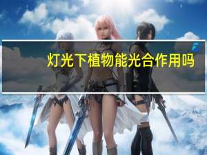 灯光下植物能光合作用吗