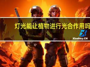 灯光能让植物进行光合作用吗