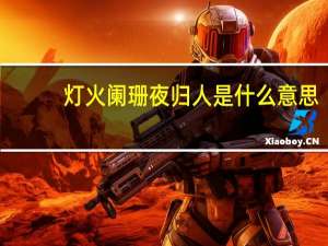 灯火阑珊夜归人是什么意思