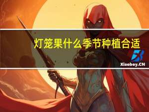 灯笼果什么季节种植合适