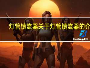 灯管镇流器 关于灯管镇流器的介绍