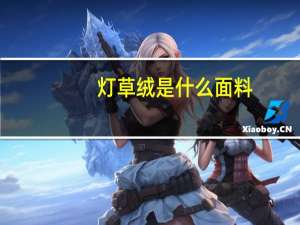 灯草绒是什么面料
