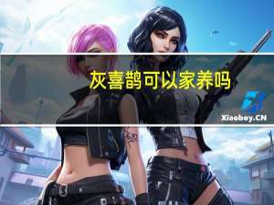 灰喜鹊可以家养吗