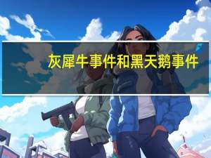 灰犀牛事件和黑天鹅事件