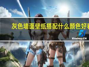 灰色墙面壁纸搭配什么颜色好看