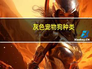 灰色宠物狗种类