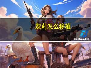 灰莉怎么移植