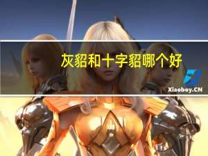 灰貂和十字貂哪个好