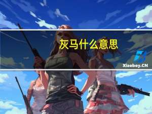 灰马什么意思