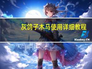 灰鸽子木马使用详细教程（灰鸽子木马）