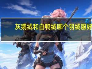 灰鹅绒和白鸭绒哪个羽绒服好