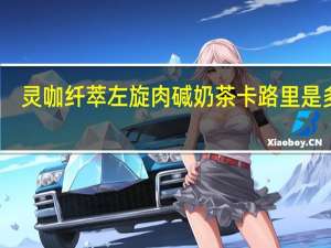 灵咖纤萃 左旋肉碱奶茶卡路里是多少