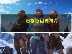 灵格斯词典推荐（灵格斯词典）