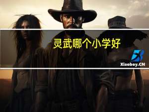 灵武哪个小学好