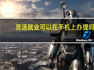灵活就业可以在手机上办理吗