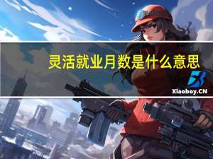 灵活就业月数是什么意思