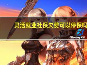 灵活就业社保欠费可以停保吗