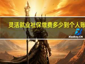 灵活就业社保缴费多少到个人账户