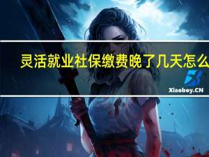 灵活就业社保缴费晚了几天怎么办