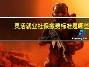 灵活就业社保缴费标准是哪些