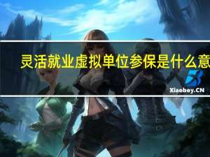 灵活就业虚拟单位参保是什么意思