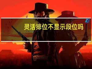 灵活排位不显示段位吗（灵活排位）