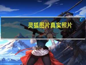 灵狐图片真实照片（灵狐图片）