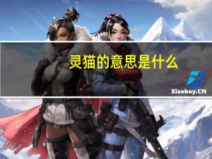 灵猫的意思是什么