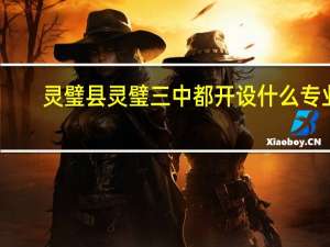 灵璧县灵璧三中都开设什么专业