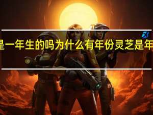 灵芝不是一年生的吗为什么有年份 灵芝是年份越久越好吗