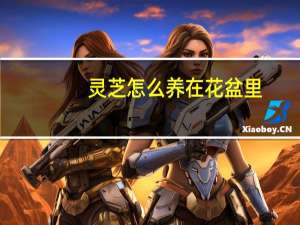 灵芝怎么养在花盆里