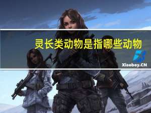 灵长类动物是指哪些动物