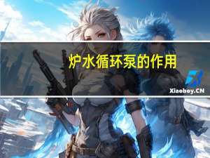 炉水循环泵的作用