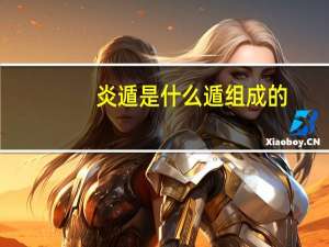 炎遁是什么遁组成的（炎遁）