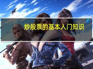 炒股票的基本入门知识