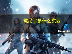 炖吊子是什么东西