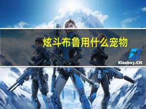 炫斗布鲁用什么宠物