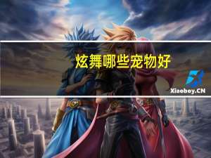 炫舞哪些宠物好